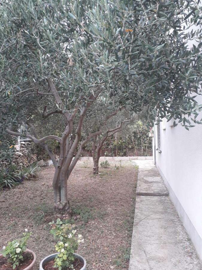 Apartments Boljat Trogir Extérieur photo